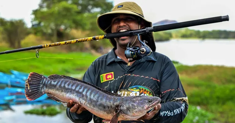 রাক্ষুসে মাছ শিকার